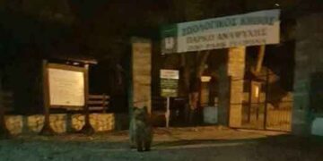 Λήψη διαχειριστικών μέτρων για την αντιμετώπιση της εμφάνισης αρκούδας στο Ζωολογικό Κήπο της Φλώρινας