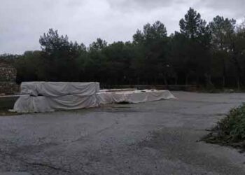 Κοζάνη: Ξανάπιασε δουλειά ο εργολάβος για την ανάπλαση του Άλσους Κουρί –	Σε ποια φάση βρίσκονται οι εργασίες