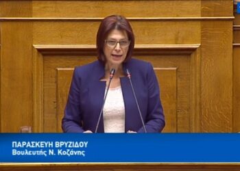 Ομιλία Π. Βρυζίδου στην Ολομέλεια της Βουλής για το ν/σ: “Επενδύω στην Ελλάδα”