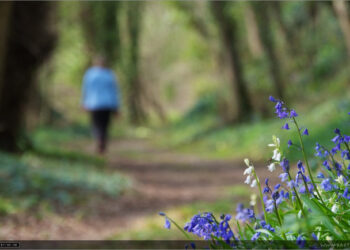 Κάλεσμα από την Ορειβατική Λέσχη Εορδαίας: Περπατάμε στα μονοπάτια της ευρύτερης περιοχής Εορδαίας