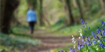 Κάλεσμα από την Ορειβατική Λέσχη Εορδαίας: Περπατάμε στα μονοπάτια της ευρύτερης περιοχής Εορδαίας