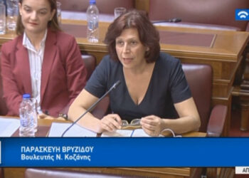 Τοποθέτηση της Παρασκευής Βρυζίδου για τη δυνατότητα μείωσης της ανεργίας, μέσα από την υλοποίηση νέων Επενδύσεων