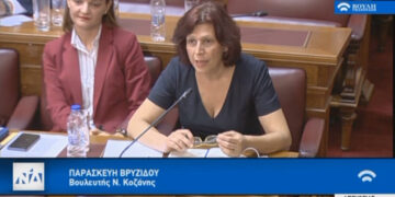 Τοποθέτηση της Παρασκευής Βρυζίδου για τη δυνατότητα μείωσης της ανεργίας, μέσα από την υλοποίηση νέων Επενδύσεων