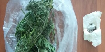 Σύλληψη 53χρονου σε περιοχή των Γρεβενών για κατοχή ακατέργαστης κάνναβης και σπόρων κάνναβης