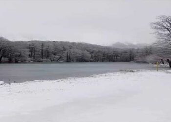 Μαγικό χειμωνιάτικο τοπίο στην περιοχή Αρρένες Καστοριάς στα 1700 μέτρα υψόμετρο!