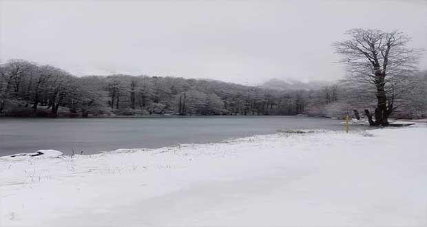 Μαγικό χειμωνιάτικο τοπίο στην περιοχή Αρρένες Καστοριάς στα 1700 μέτρα υψόμετρο!