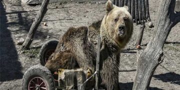 Ο Ούσκο, ο μαχητής της ζωής, δεν ζει πια