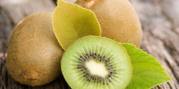 Οδηγίες για τη μεταφορά και διακίνηση ακτινιδίων για να αποφεύγεται η εξάπλωση του επιβλαβούς οργανισμού καραντίνας Pseudomonas syringae pv. Actinidiae