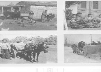 Μια υπέροχη αγροτική οικογένεια με όλα τα εξαρτήματα της Αγροτικής ύπαρξης – Από τη στήλη του κ. Γ. Καζαντζή στον Παλμό 20/11/2019