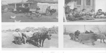 Μια υπέροχη αγροτική οικογένεια με όλα τα εξαρτήματα της Αγροτικής ύπαρξης – Από τη στήλη του κ. Γ. Καζαντζή στον Παλμό 20/11/2019