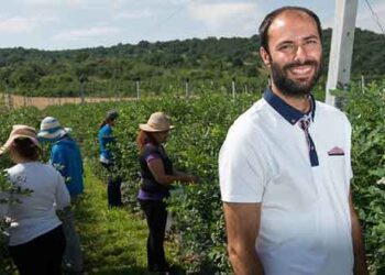 “ΓΑΣΤΡΟΝΟΜΟΣ”: Βραβείο βιοκαλλιέργειας στον Π. Καρυπίδη που καλλιεργεί στο Αμύνταιο και εξάγει blueberries