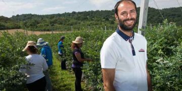 “ΓΑΣΤΡΟΝΟΜΟΣ”: Βραβείο βιοκαλλιέργειας στον Π. Καρυπίδη που καλλιεργεί στο Αμύνταιο και εξάγει blueberries