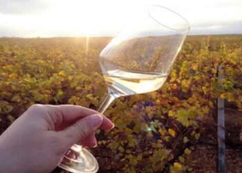 Οι Δρόμοι του Κρασιού στη φετινή ημέρα οινοτουρισμού – Τα κτήματα που συμμετέχουν από Αμύνταιο- Ξινό Νερό – Βελβεντό – Σιάτιστα- Καστοριά