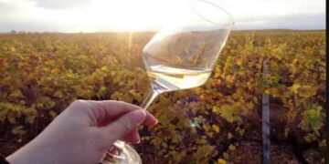 Οι Δρόμοι του Κρασιού στη φετινή ημέρα οινοτουρισμού – Τα κτήματα που συμμετέχουν από Αμύνταιο- Ξινό Νερό – Βελβεντό – Σιάτιστα- Καστοριά