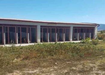 Δήμος Εορδαίας: Δημιουργείται Δημοτικό Κτηνιατρείο για τα αδέσποτα