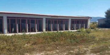 Δήμος Εορδαίας: Δημιουργείται Δημοτικό Κτηνιατρείο για τα αδέσποτα