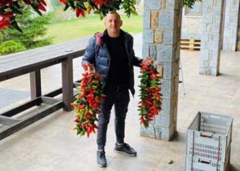 Πέτρος Ναουμίδης: Τροφοδοτεί τις γκουρμέ αγορές με αυθεντικές πιπεριές Φλωρίνης