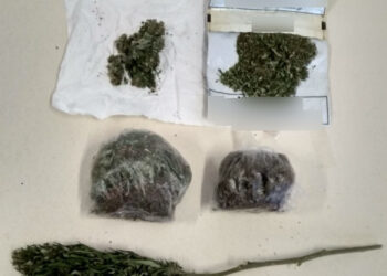 Συνελήφθη 41χρονος σε περιοχή της Κοζάνη για κατοχή ναρκωτικών και παράβαση της νομοθεσίας περί όπλων