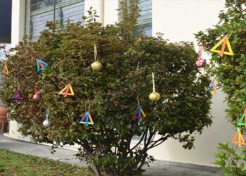 Στολισμός δένδρου στο Αρχαιολογικό Μουσείο Αιανής