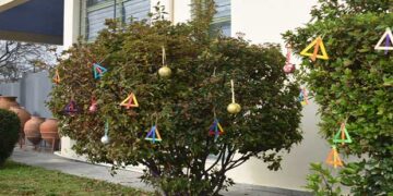 Στολισμός δένδρου στο Αρχαιολογικό Μουσείο Αιανής