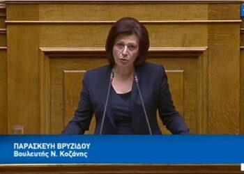 Ομιλία της Π. Βρυζίδου στη Βουλή για τον προϋπολογισμό – ΒΙΝΤΕΟ