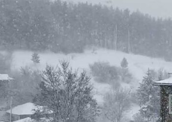Στα λευκά και το Νυμφαίο! ΔΕΙΤΕ ΒΙΝΤΕΟ