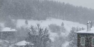 Στα λευκά και το Νυμφαίο! ΔΕΙΤΕ ΒΙΝΤΕΟ