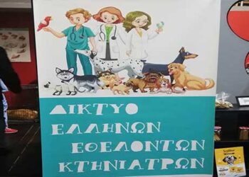 Μαζικές στειρώσεις αδέσποτων ζώων στο Δήμο Κοζάνης