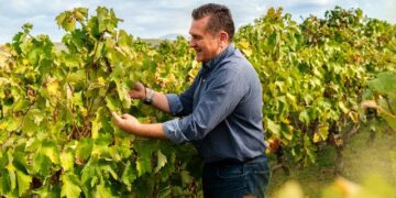 Εγκωμιαστικό Άρθρο Των New York Times Για Τις Ελληνικές Ποικιλίες Και Το Κτήμα Άλφα