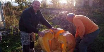 Πτολεμαΐδα: Καλλιεργητής έκοψε μια τεράστια κολοκύθα 200 κιλών!