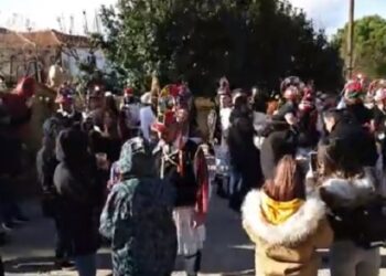 Κοτσαμάνια στην Ασβεστόπετρα (video)