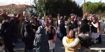 Κοτσαμάνια στην Ασβεστόπετρα (video)