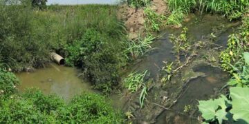 ΔΕΥΑ Εορδαίας: Αγώνας δρόμου για το έργο των αγωγών λυμάτων Περδίκκα-Πενταβρύσου