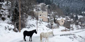 Ο καιρός τρελάθηκε: -4 στη Φλώρινα, 8 βαθμοί στο Καϊμακτσαλάν! -Υψηλότερη θερμοκρασία στα βουνά