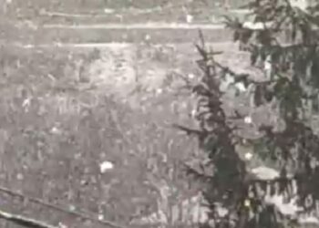 Πυκνή χιονόπτωση ΤΩΡΑ στο Νυμφαίο