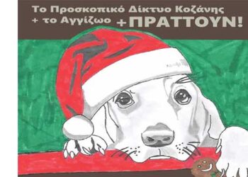 Το Προσκοπικό Δίκτυο Κοζάνης συλλέγει ζωοτροφές και χρήματα για τις ανάγκες του ΑγγίΖωο