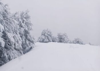 Βασιλίτσα Γρεβενών με πολύ χιόνι!