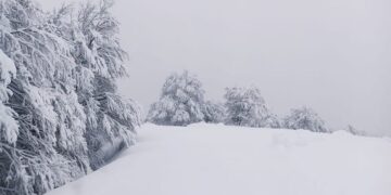 Βασιλίτσα Γρεβενών με πολύ χιόνι!