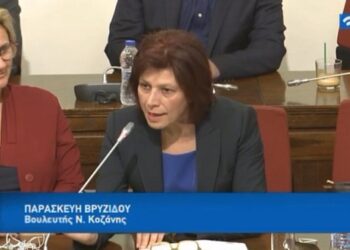 Π. Βρυζίδου προς τον Δ/ντη του Εθνικού Αστεροσκοπείου Αθηνών: “Πόσο επηρεάζει το κλίμα η ύπαρξη τεχνικών λιμνών στη Δυτική Μακεδονία;”