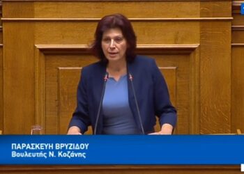 Ομιλία της Π. Βρυζίδου στη Βουλή για το νομοσχέδιο του Υπουργείου Εθνικής Άμυνας