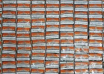 Σύλληψη δύο αλλοδαπών σε περιοχή της Καστοριάς για αφορολόγητη ποσότητα καπνού