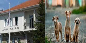 Κάλεσμα του Δήμου Άργους Ορεστικού για υιοθεσία αδέσποτων σκύλων