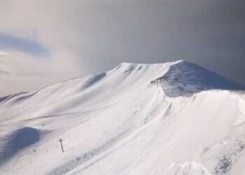 Βασιλίτσα χιονισμένη και πανέμορφη – Δείτε βίντεο