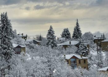 Όταν η φύση ζωγραφίζει! Νυμφαίο σαν καρτ ποστάλ!