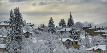 Όταν η φύση ζωγραφίζει! Νυμφαίο σαν καρτ ποστάλ!