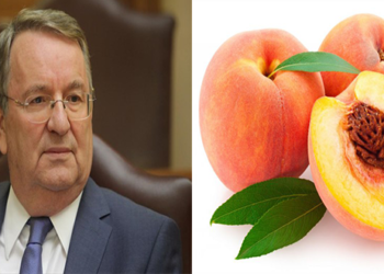 Γιώργος Καρασμάνης: «Με ψευτοαποζημιώσεις από το ¨deminimis¨ εμπαίζουν ακόμη μια φορά τους ροδακινοπαραγωγούς»!