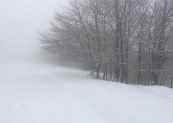 Ολόφρεσκο χιόνι και στη Βασιλίτσα!