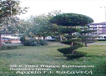 Ένα πανέμορφο, φυτό…-δέντρο; του παρελθόντος που κοσμούσε τον περιβάλλοντα χώρο του εμπορικού μας πολύκεντρου…– Από τη στήλη του κ. Γ. Καζαντζή στον Παλμό 27/03/2019