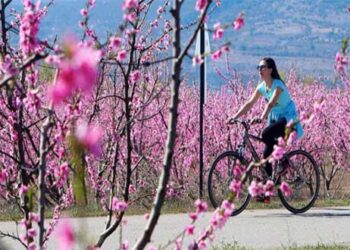 ΜΟΝΑΔΙΚΕΣ ΕΙΚΟΝΕΣ! Ποδηλατάδα στις ανθισμένες ροδακινιές της Βέροιας!