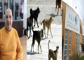 Μήνυση του Στέργιου Γκανατσιου κατά του δήμου Κοζάνης για τα αδέσποτα σκυλιά στο ΤΕΙ!